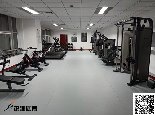 濟(jì)南某集團(tuán)采購(gòu)的谈球吧官方网站體育提供的健身器材