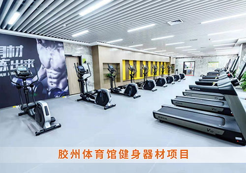 ?谈球吧官方网站體育為膠州體育館打造的健身房